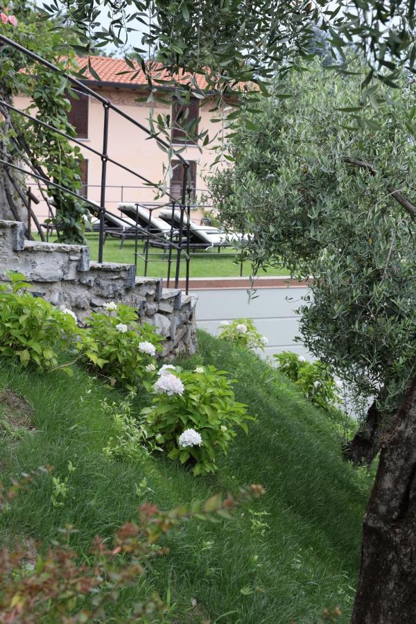 Villa Mojana Bellagio Oliveto Lario エクステリア 写真