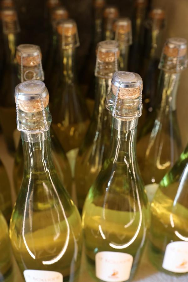 Villa Mojana Bellagio Oliveto Lario エクステリア 写真