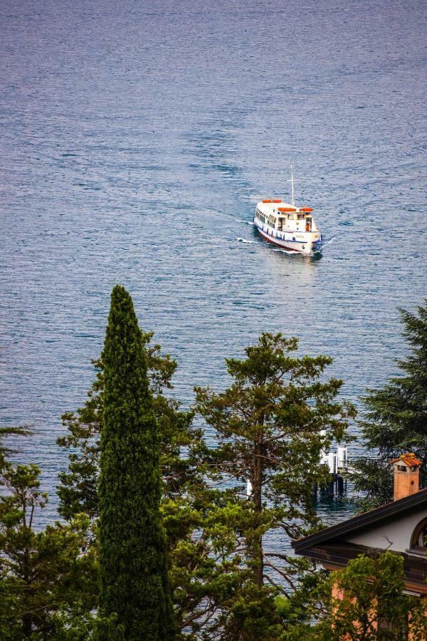 Villa Mojana Bellagio Oliveto Lario エクステリア 写真